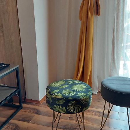 Apartments Harmony Zabljak  Room photo
